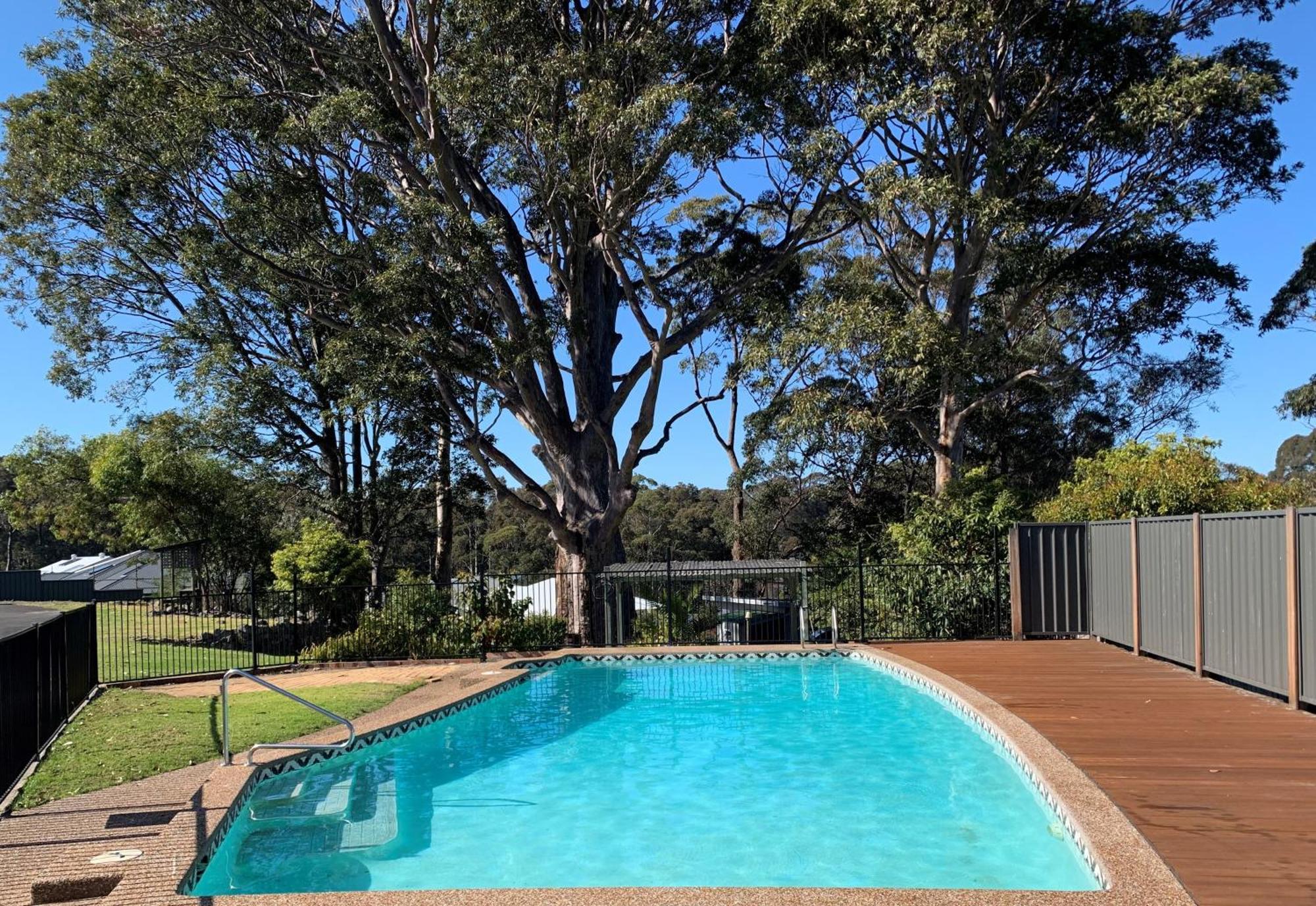 The Tree Motel Narooma Esterno foto